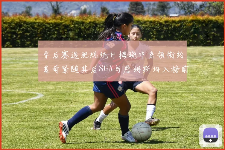 季后赛造犯规统计揭晓申京领衔约基奇紧随其后SGA与詹姆斯均入榜前十
